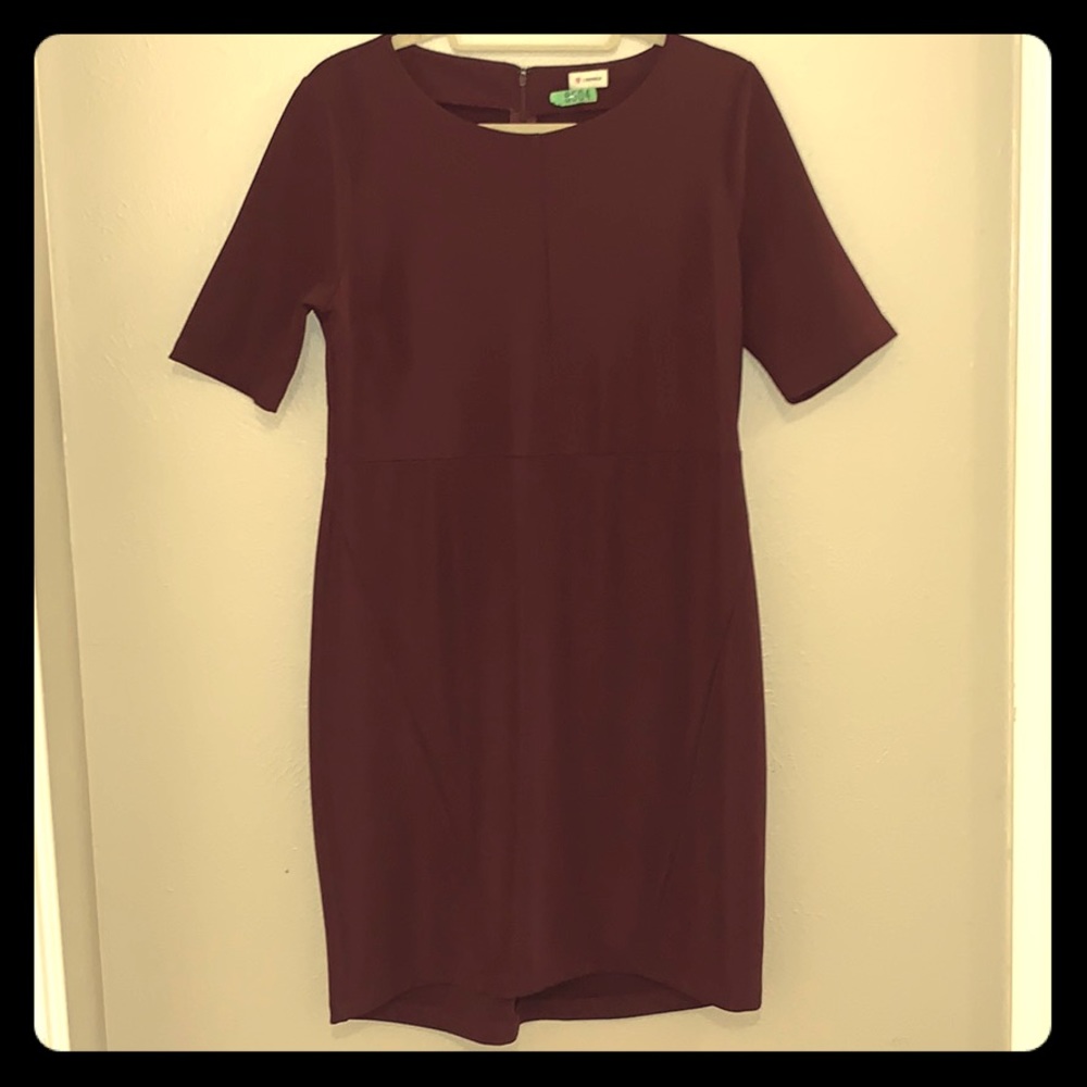 CREMIEUX Raspberry Dress